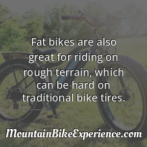 Fat bikes are also great for riding on rough terrain which can be hard on traditional bike tires