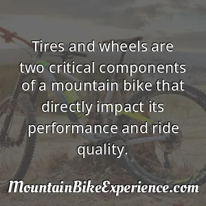 Tires and wheels are two critical components of a mountain bike that directly impact its performance and ride quality