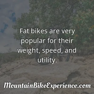 Fat bikes are very popular for their weight speed and utility
