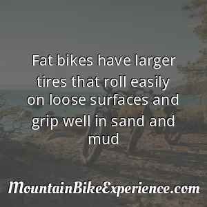 Fat bikes have larger tires that roll easily on loose surfaces and grip well in sand and mud