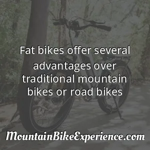 Fat bikes offer several advantages over traditional mountain bikes or road bikes