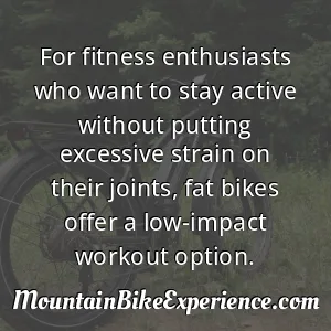 For fitness enthusiasts who want to stay active without putting excessive strain on their joints fat bikes offer a low-impact workout option