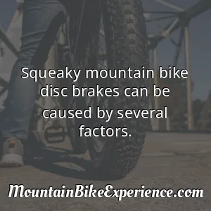 Squeaky mountain bike disc brakes can be caused by several factors