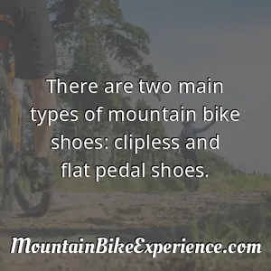 There are two main types of mountain bike shoes_ clipless and flat pedal shoes