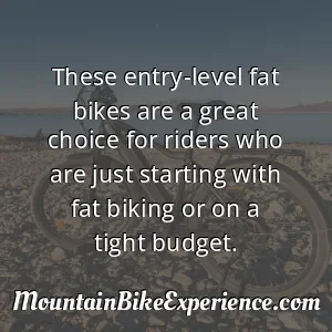 These entry-level fat bikes are a great choice for riders who are just starting with fat biking or on a tight budget