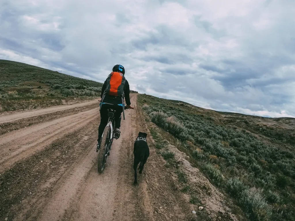 Riding along on a bike with a dog