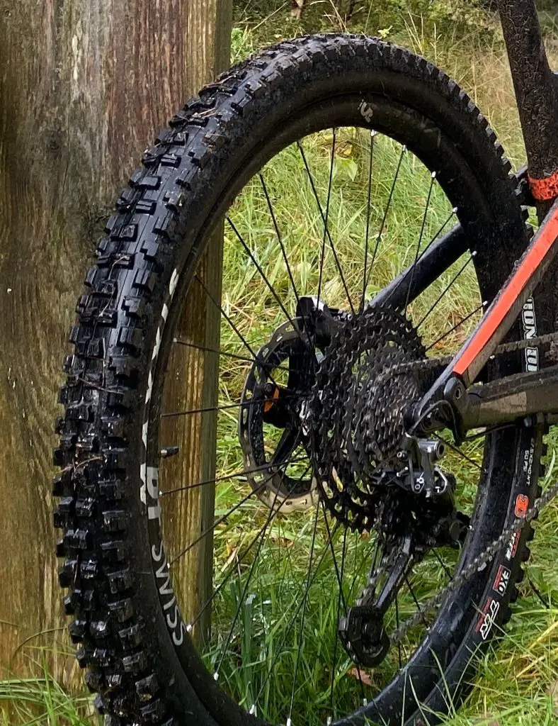 A fat bike riding through normal forest terrain showing the rear tire and rear derailleur