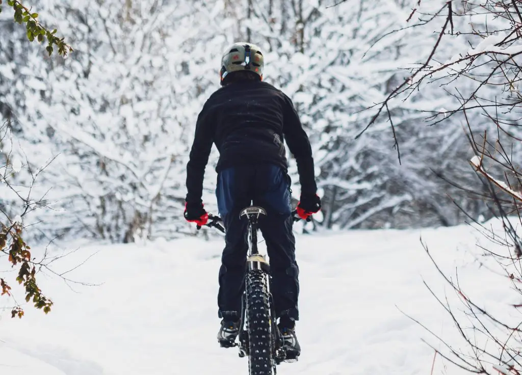 mountain biking in the winter woods