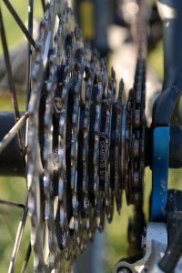 a picture of the rear cassette gears