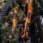 How Long Do Mountain Bike Tires Last and When To Replace?