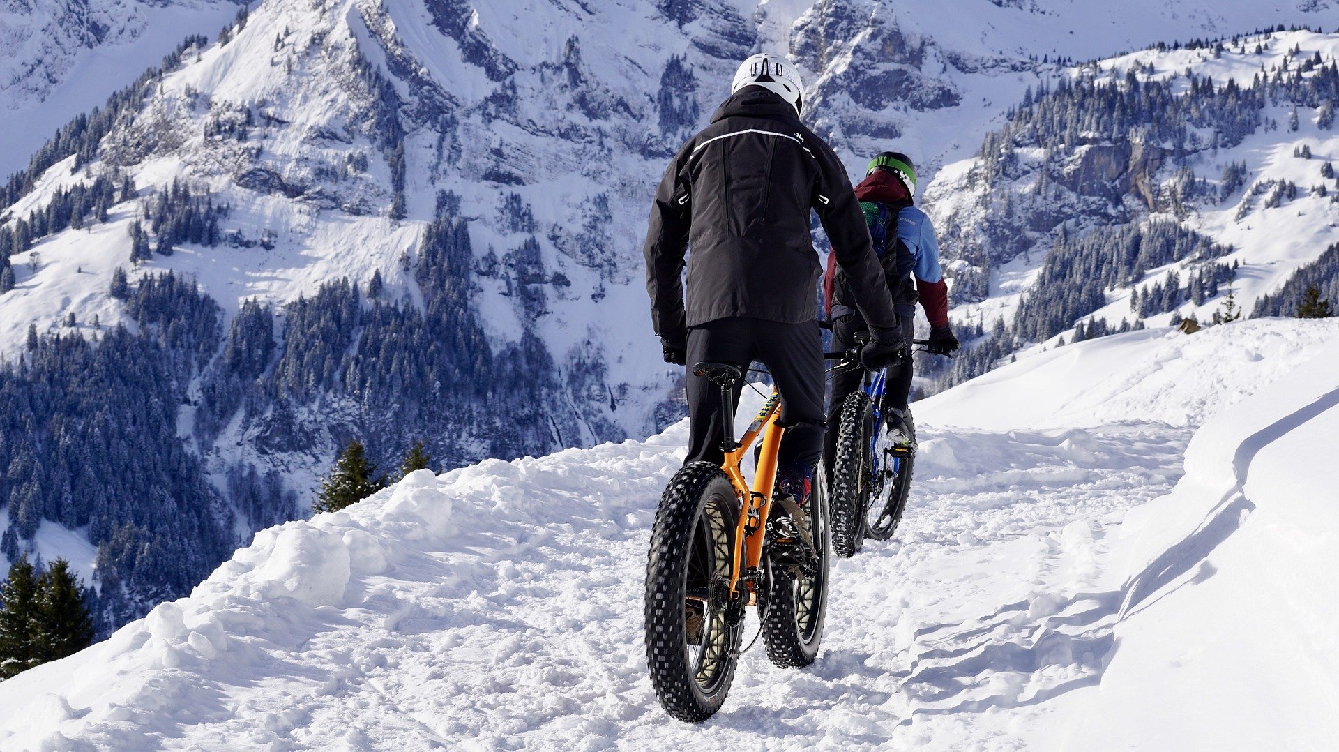 fat bikes riding over snow