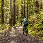How Many Calories Are Burned Mountain Biking?