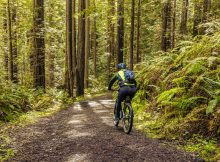 mountain biking through the woods