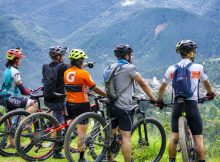 group mountain biking in beautiful landscape
