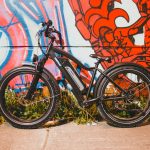 Exploring the Wild Side: Is a Fat Bike Worth the Adventure?