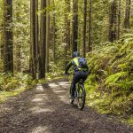 What Are The Rules Of Trail Riding?