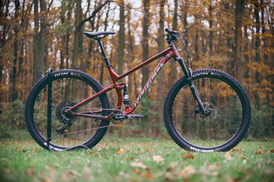 Mountain Bike in the woods